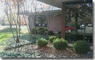 Commerical Landscape Design | NJDedecker Services