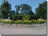 Flower Planting | NJDedecker Services